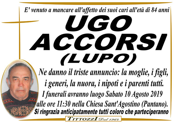 UGO ACCORSI (Lupo)