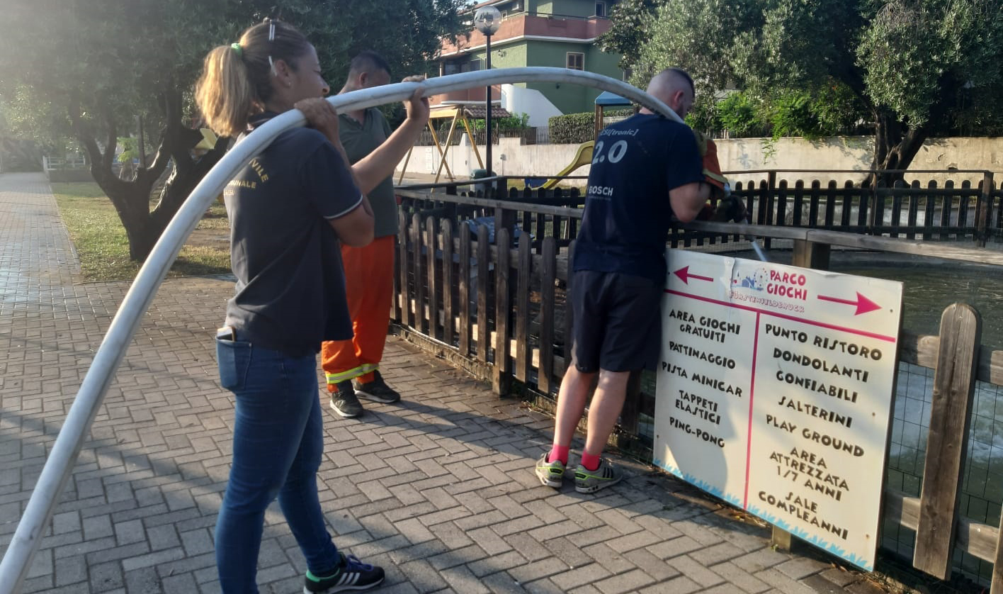 Nuova vita alle tartarughe grazie ai volontari Prociv