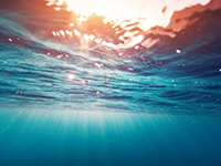 Marine litter, raccolte in Adriatico 14 tonnellate in 10 mesi