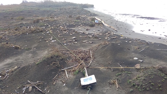 Maltempo Ladispoli, incontro con Citt&agrave; Metropolitana per i danni a Torre Flavia