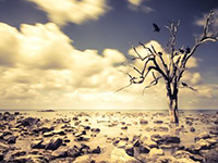 "C&rsquo;&egrave; deficit idrico, e non andr&agrave; meglio in primavera"