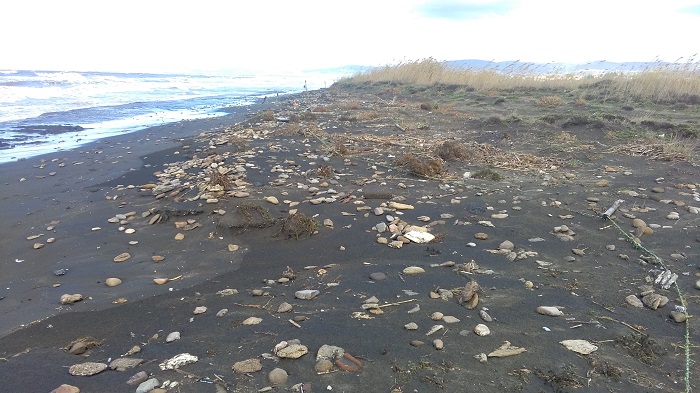 &laquo;Il mare batte sulla duna erosa&raquo;