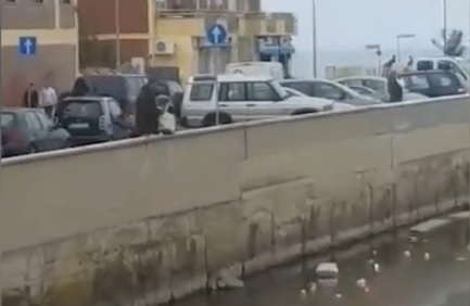 Rifiuti nel fosso Vaccina sotto gli occhi dei passanti