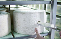 Igor, in funzione il nuovo impianto