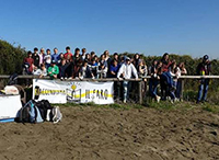 Gli studenti ripuliscono le dune di Passoscuro