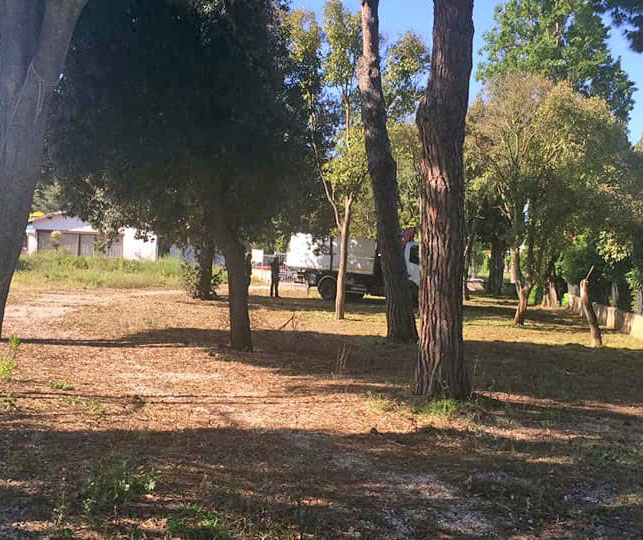 Parco ex Caerelandia: lavori in corso sulle alberature