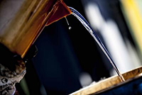 Nasce Itelyum, eccellenza dell&rsquo;economia circolare