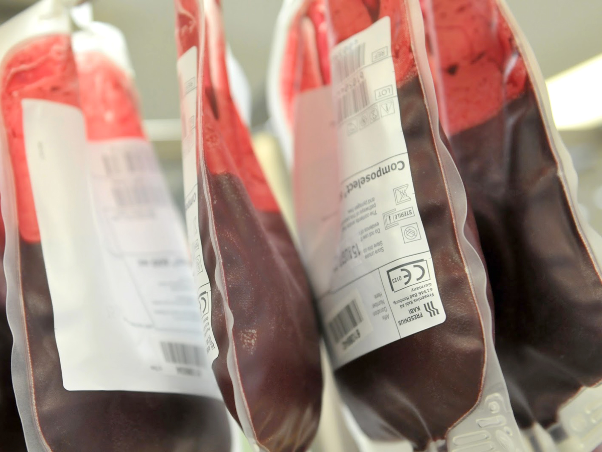 Avis, raccolte 38 sacche donate in una settimana