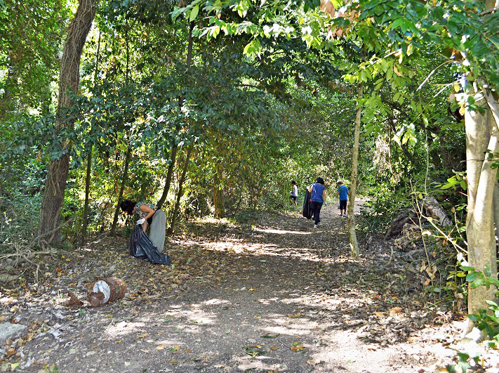Mattinata ecologica per ripulire il bosco di Valcanneto