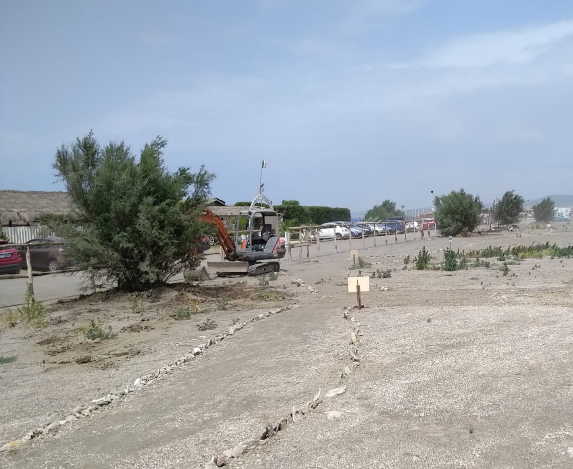 Campo di Mare, cinque alberi di tamerice all&rsquo;ingresso della Palude di Torre Flavia
