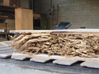 Arredi e filati, si punta sulla ginestra