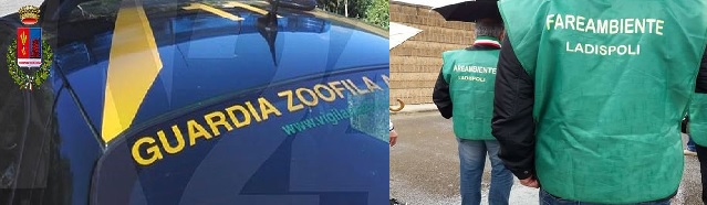 ''Guardie Zoofile, un baluardo a Ladispoli''