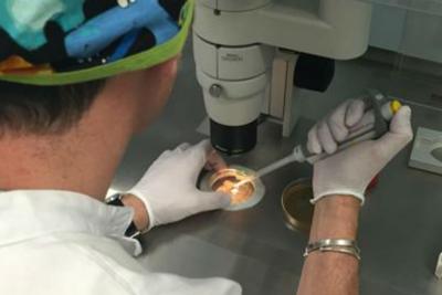 L&rsquo;Italia dell&rsquo;eterologa, miraggio negli ospedali pubblici