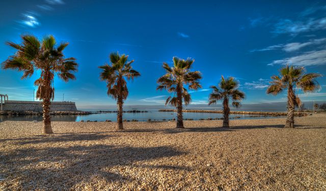 L'inverno civitavecchiese (foto Simone Lombi)