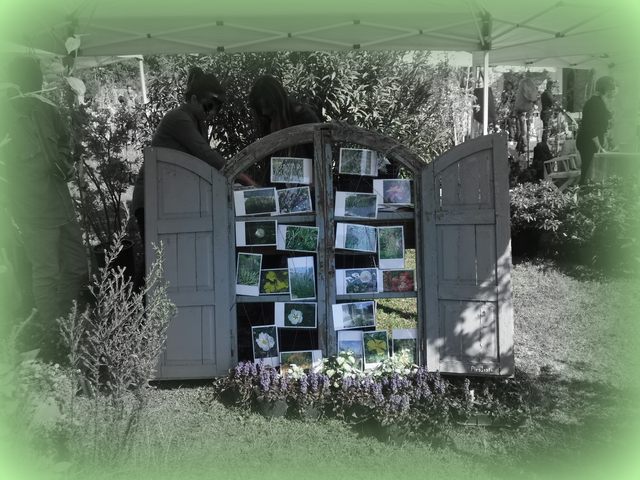 La finestra (foto Pina Irato)