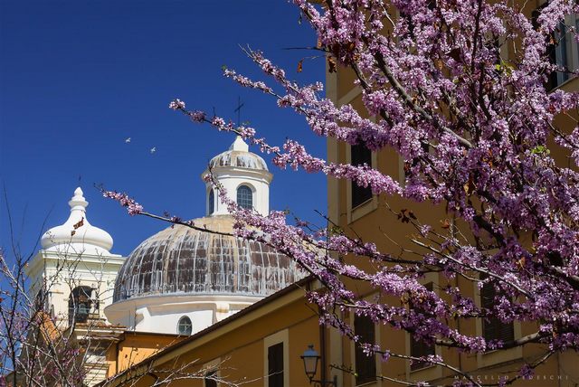 San Giovanni in fiore (foto Marcello Tedeschi)