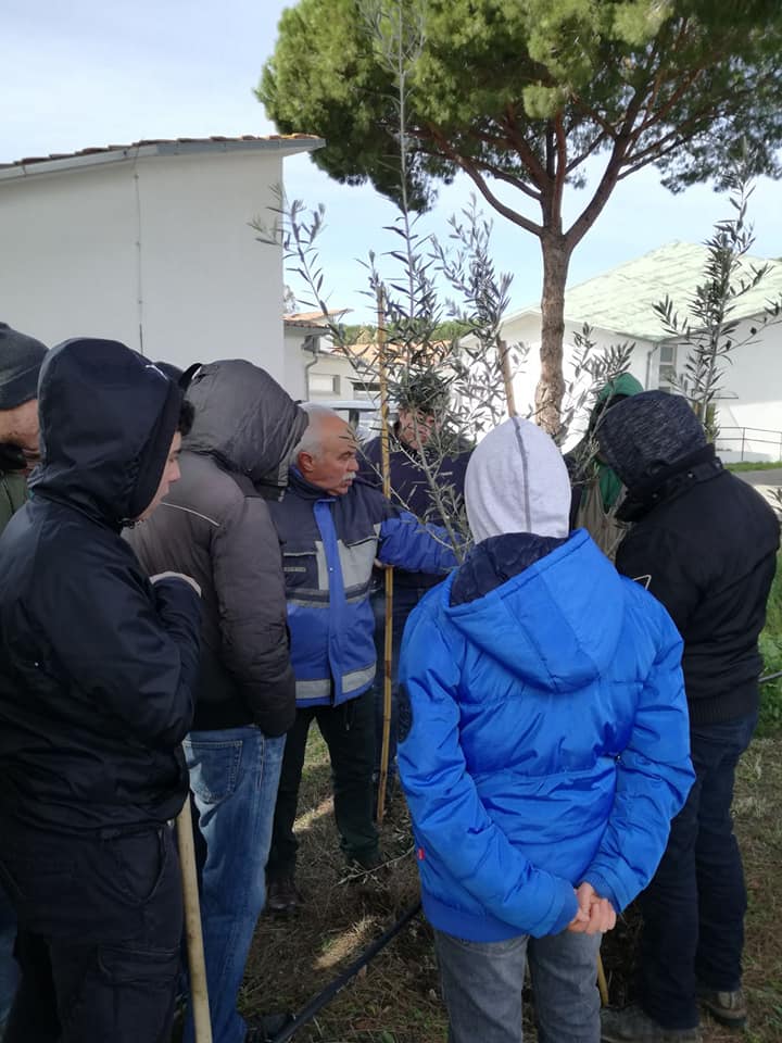 Iiss Cardarelli, giornata di potatura per gli studenti di Agraria