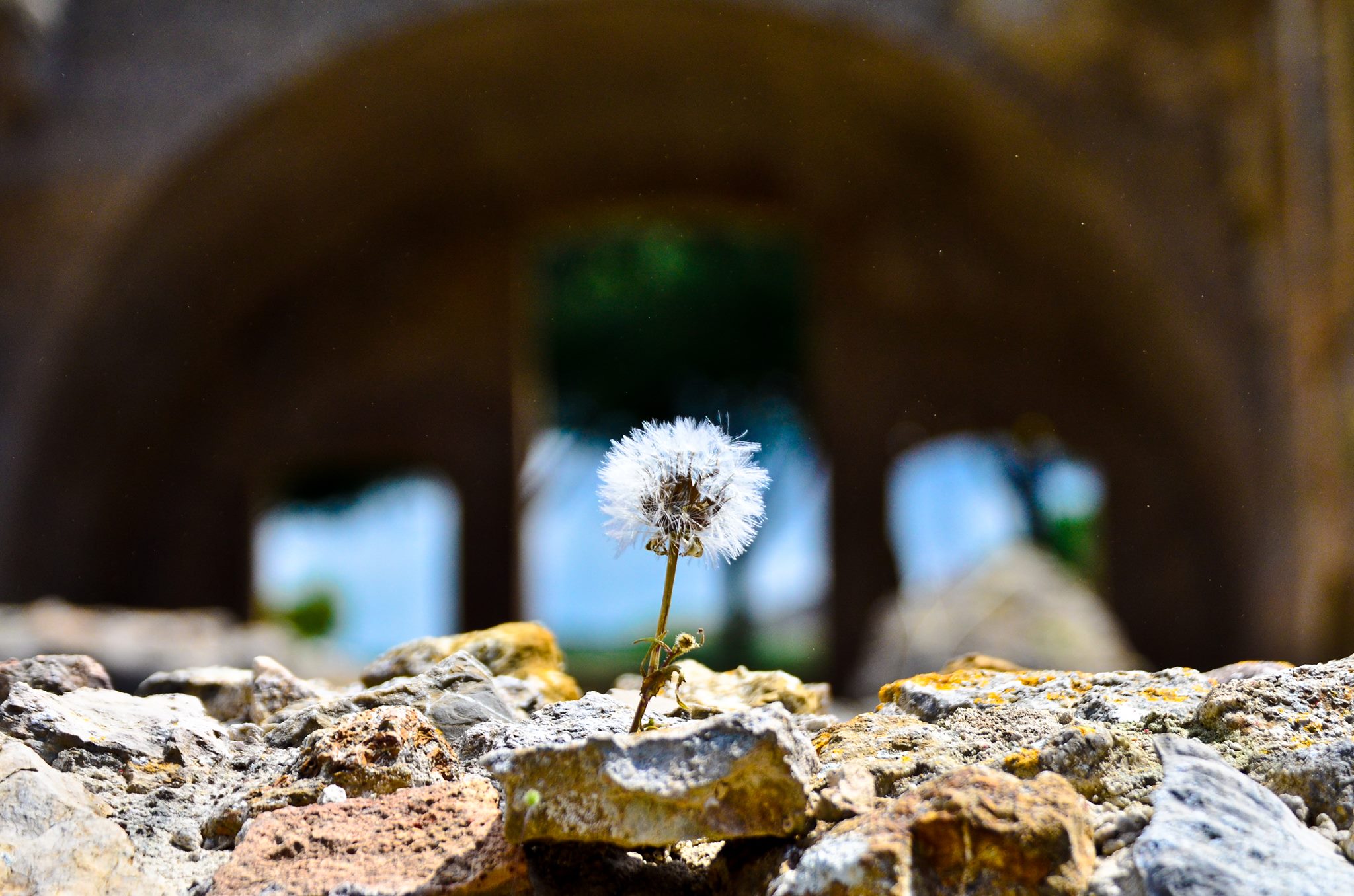 Res-Pubblica (Foto Enrico Paravani)