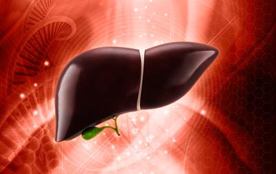 Gemelli e Bambin Ges&ugrave; contro la fibrosi epatica