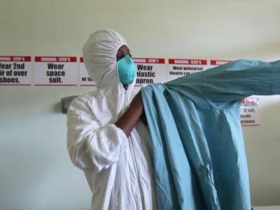Ebola e deforestazione, esiste un nesso
