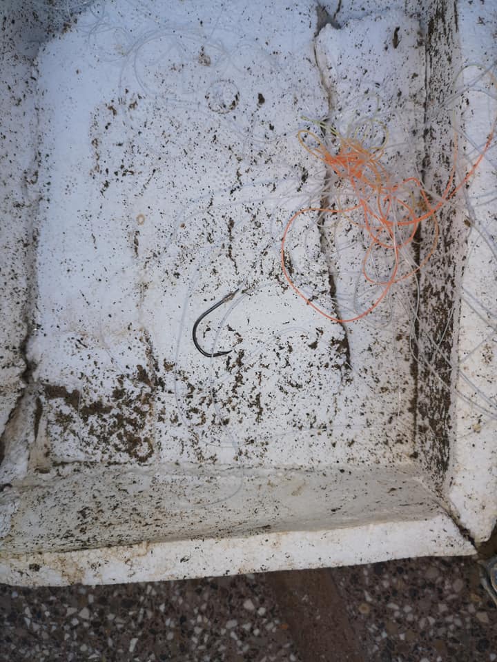 Ladispoli, nonostante i controlli ancora ami in spiaggia