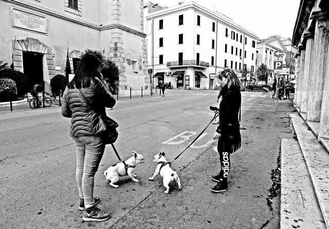 Domenica ecologica (foto Tino Romano)