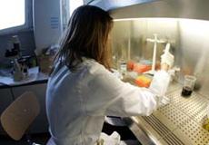 Openjobmetis, opportunità per sanità