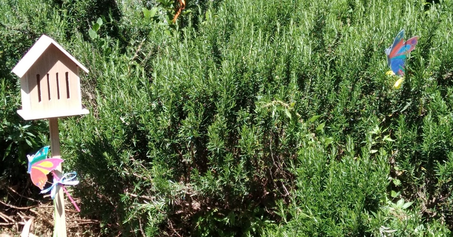 Inaugurazione del giardino delle farfalle