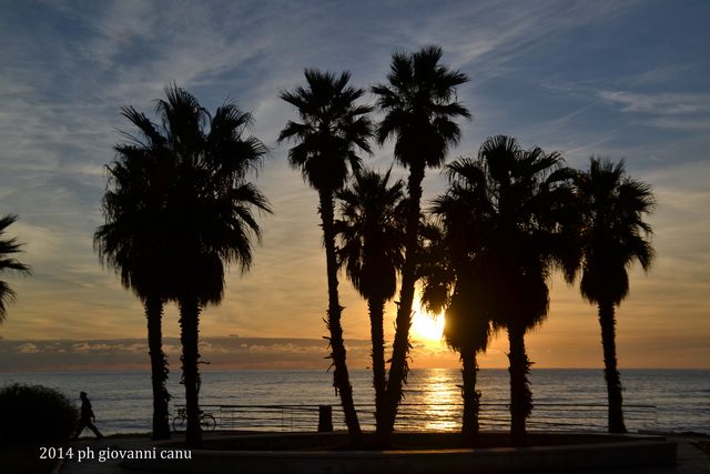 Silhouette alla marina (foto Giovanni Canu)