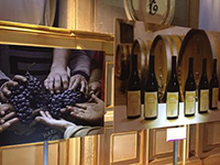 Agricoltura sociale, la via del riscatto