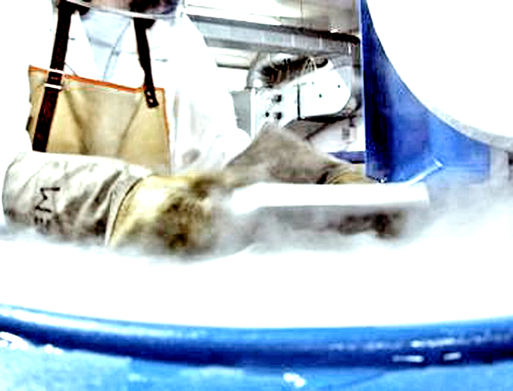 Dal lievito 5 cromosomi artificiali