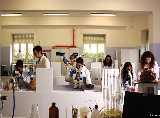 Gli studenti condividono gli esperimenti di fisica e chimica con gli utenti