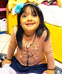 L'agenda del 19 novembre