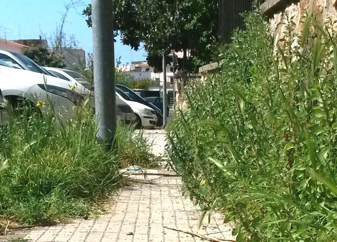 "Largo dei Mille &egrave; diventata una giungla"