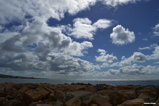 Nuvole sparse (foto Sabrina Delogu)