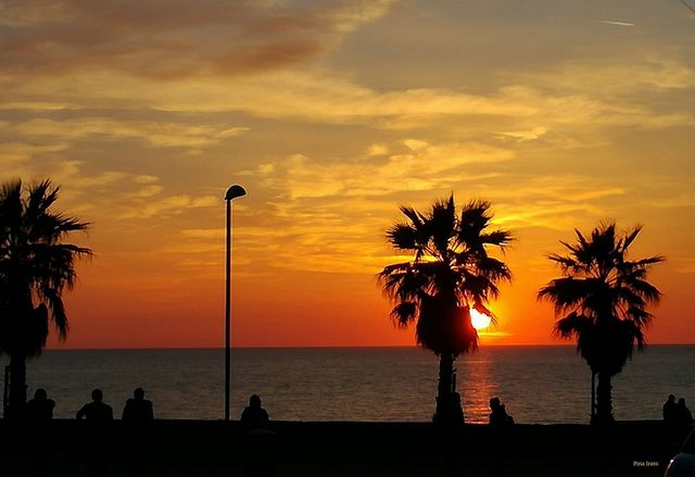 Irresistibile (foto Pina Irato)