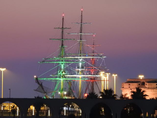 La bandiera (foto Patrizia Bisozzi)