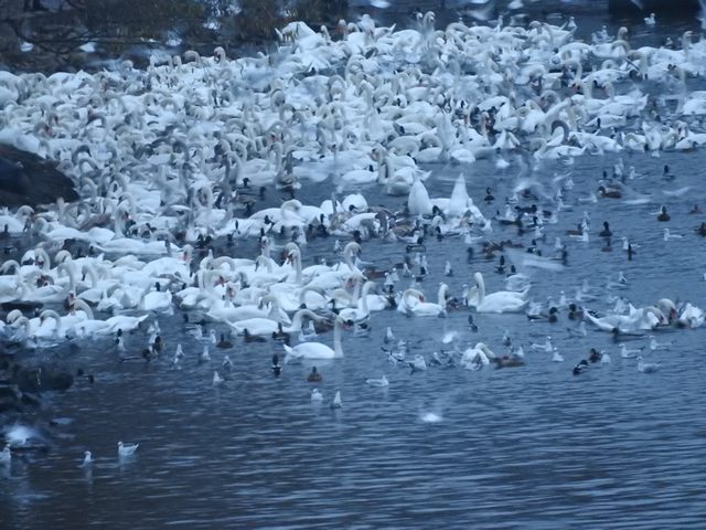 La riunione (foto Patrizia Bisozzi)