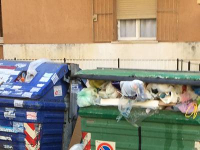Rifiuti, assessora Montanari: ''A Roma raccolta ha tenuto''