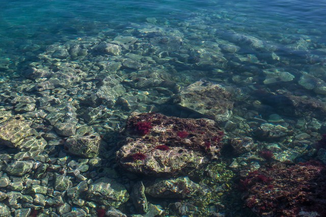 Mare nostrum (foto Antonio La Malfa )