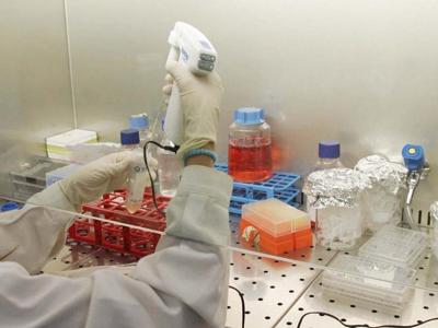 Cancro, passi avanti per il vaccino universale