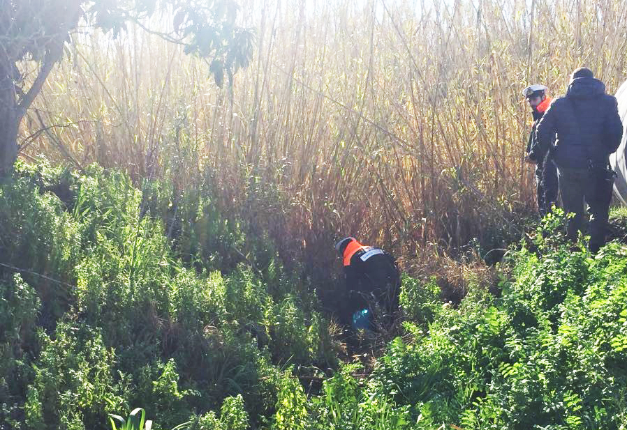 Nuovo blitz al fosso Vaccina