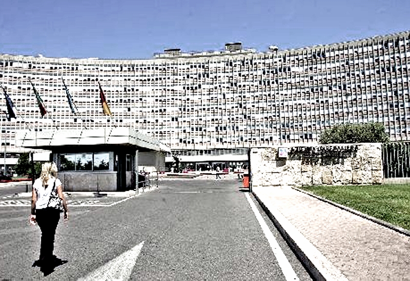 Arrestato il direttore generale  dell&rsquo;ospedale Sant&rsquo;Andrea