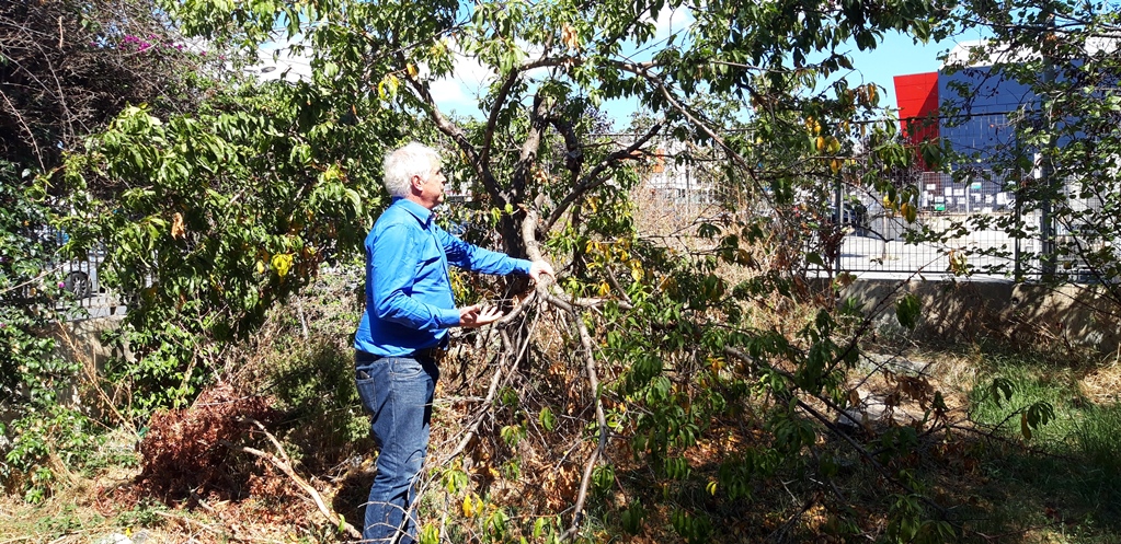 &laquo;Melone, aula verde in condizioni miserevoli per colpa del Comune&raquo;