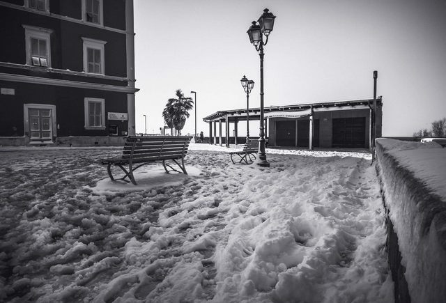 Come non la vedevamo da tempo (foto Marcello Tedeschi)