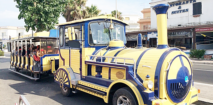Trenino, un'estate da ottomila utenti