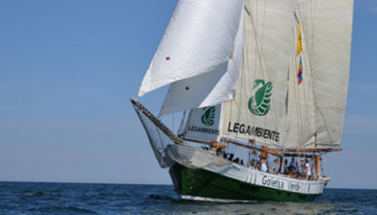 Ladispoli, inquinata la foce del fosso Vaccina