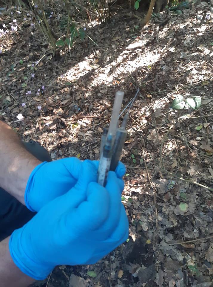 Ladispoli, ancora siringhe al Bosco di Palo