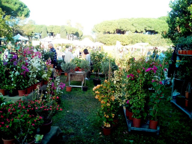 Terme in fiore (foto Damiria Delmirani)