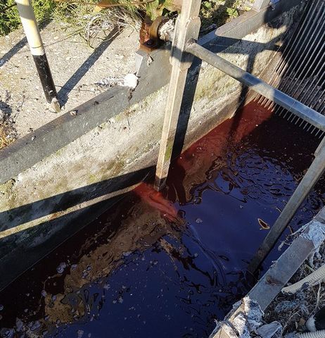 Campo di Mare: sventato danno ambientale al depuratore